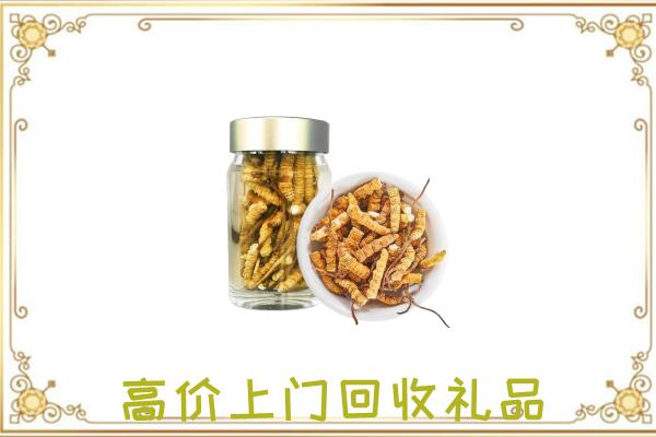 丽江周边回收虫草